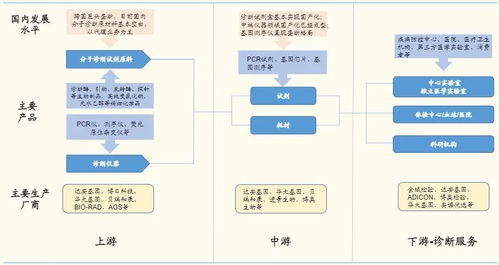 體外診斷3.0時(shí)代 分子診斷百花齊放，基礎(chǔ)軟件是決勝先機(jī)